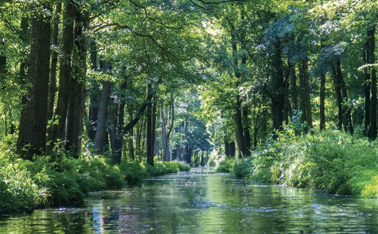 Events Herbstausfahrt-Brandenburg Spreewald 2025