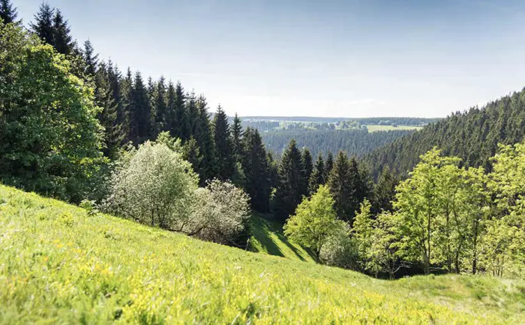 FRÜHJAHRSTREFFEN IN THÜRINGEN
